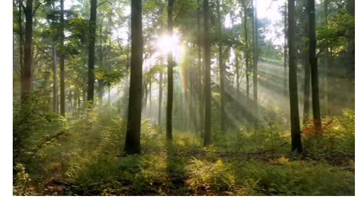 Biotrend Enerji’den Dünya Çevre Gününe özel reklam filmi