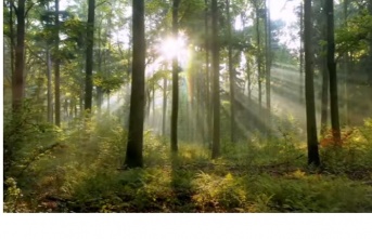 Biotrend Enerji’den Dünya Çevre Gününe özel reklam filmi