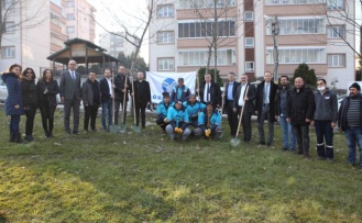 Fidanlar toprakla buluştu