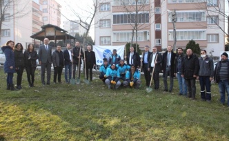 Fidanlar toprakla buluştu